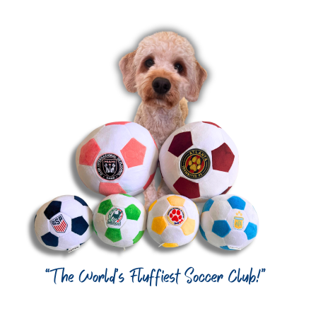The World's Fluffiest Soccer Club